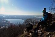 71 Panchina panoramica sui laghi briantei 